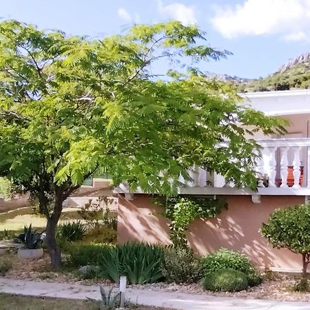 Villa The Garden Of Elais Šibenik Esterno foto
