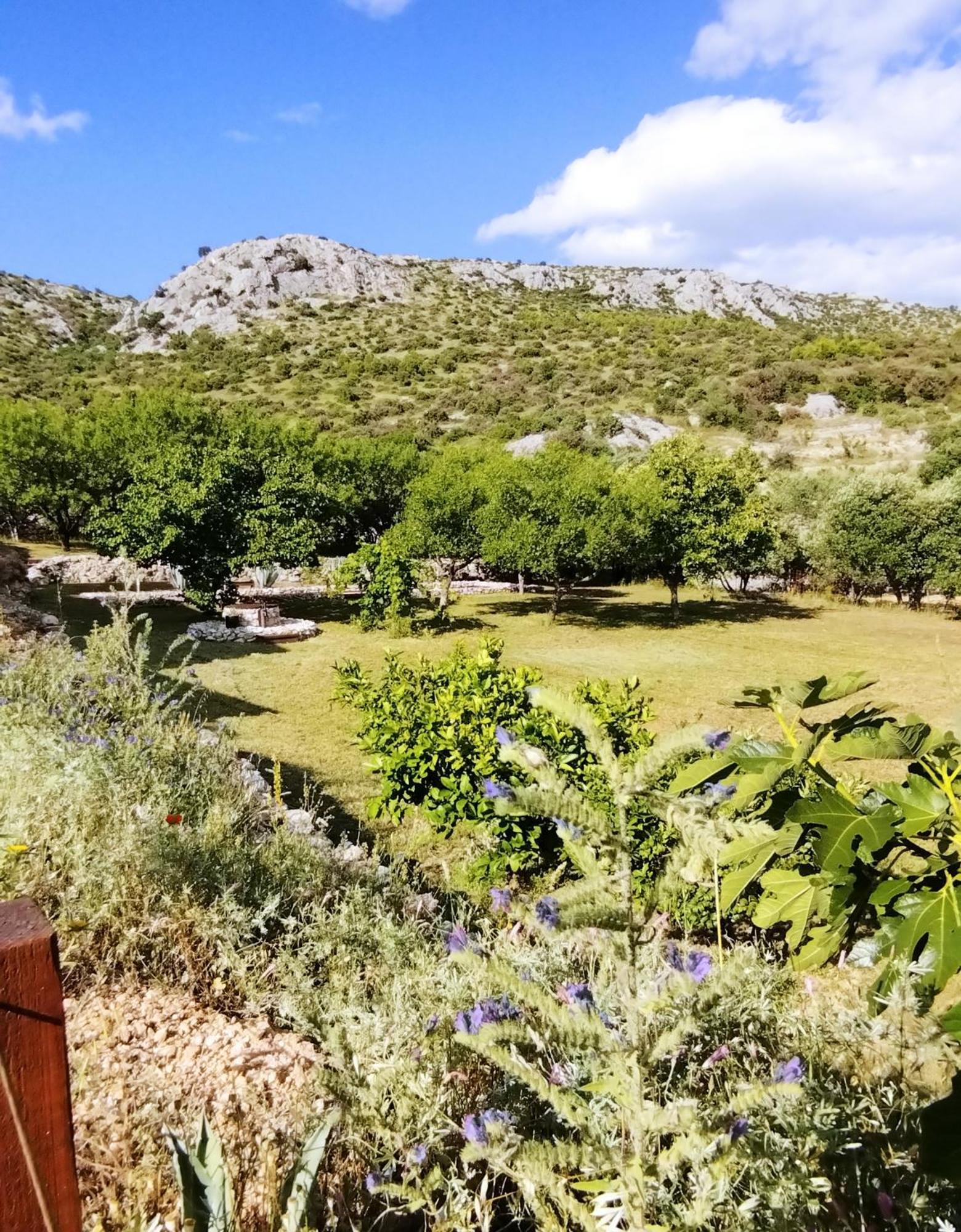 Villa The Garden Of Elais Šibenik Esterno foto